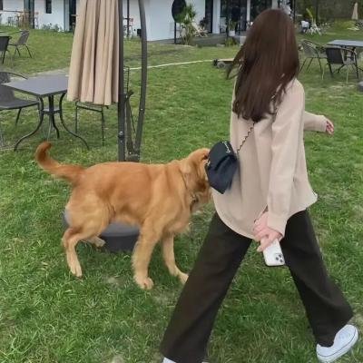 大码头